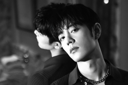 1753027 (a): :2000x1333